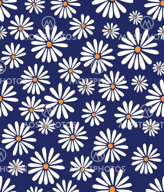 White Doris Day Flower on Lapis