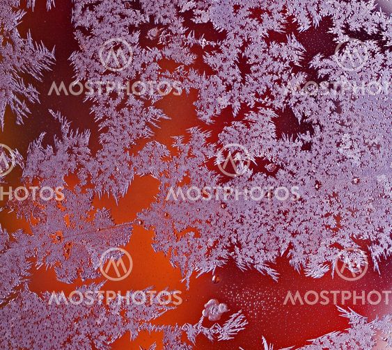 Frost in Scania