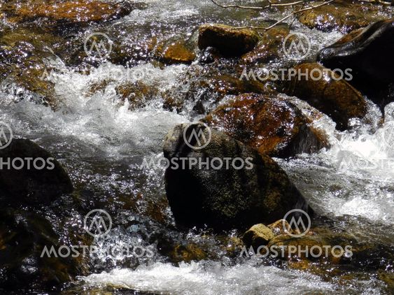 dancing water
