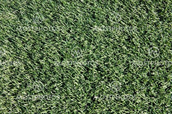 Close-up of Artificial Turf on Sports Field