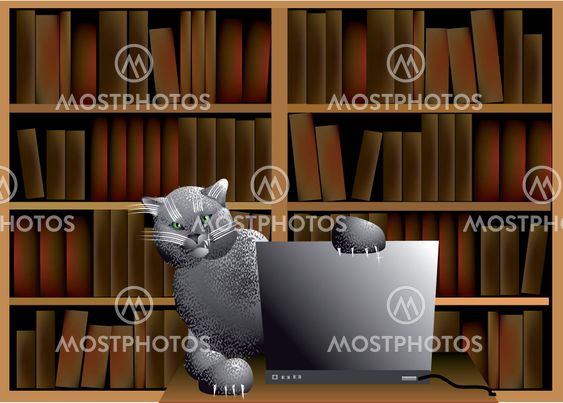 Cat at the computer
