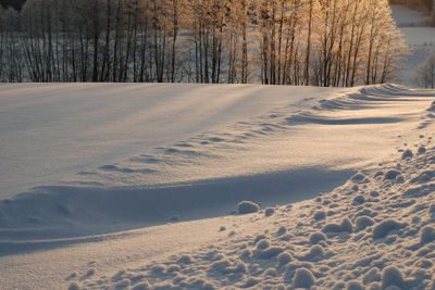 Vinterlandskap i morgonsol (Sweden)