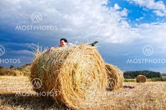 Fields of Fun