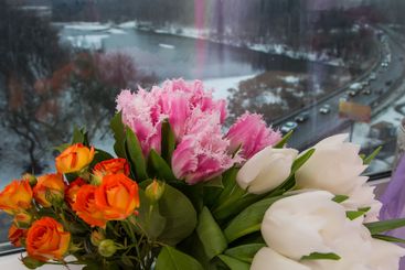 beautiful colourful blossoming flowers bouquet of fresh...