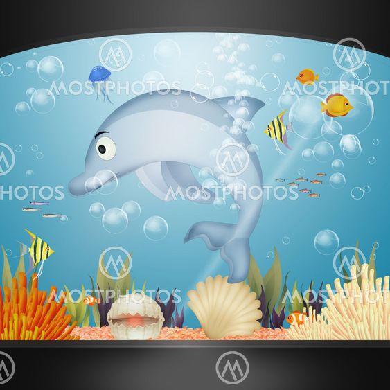 dolphin in the aquarium