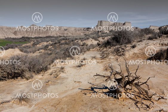Landscape of Bardenas reales, Navarra, Spain