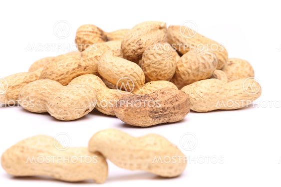 Two peanuts in closeup on the peanut background