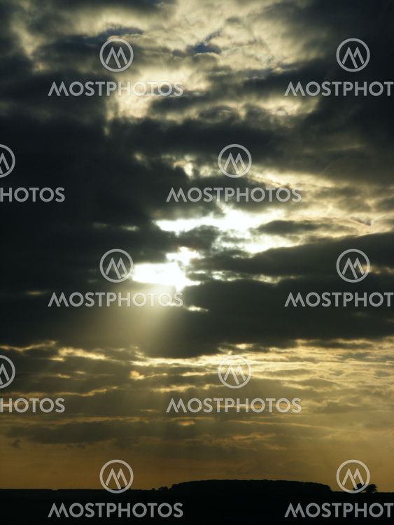 Shining Light(Portrait)