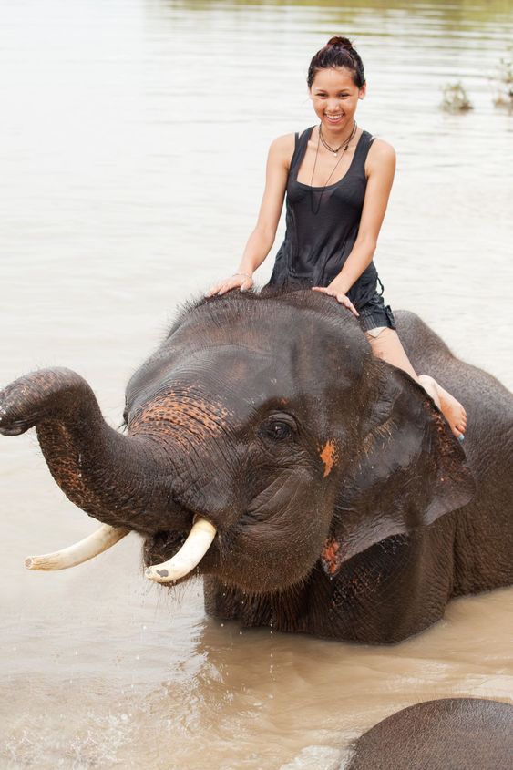 Girl has bath with elephant