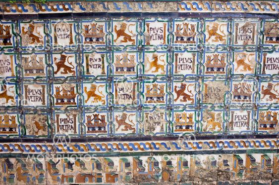 Historic Tiles wirh Royal Motifs