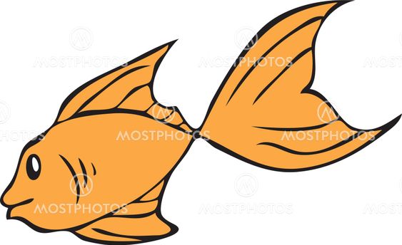 Goldfish