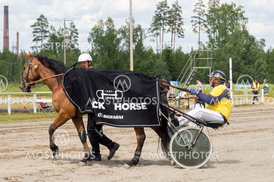 Hevonen
