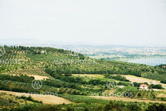Italian landscape