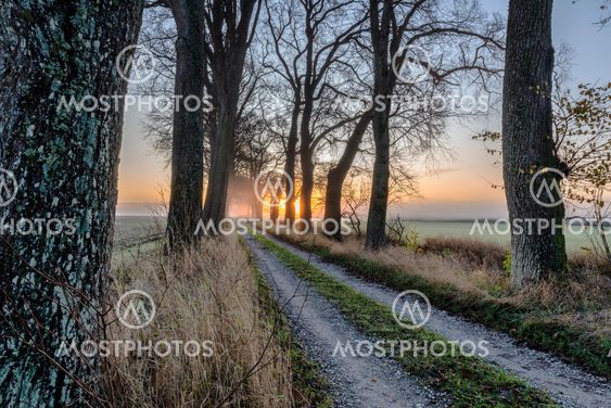 Morgondimma på Gotland
