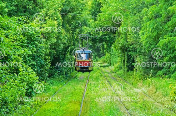 Tram tunnel of love