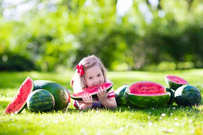 Little girl eating watermelon in the garden
