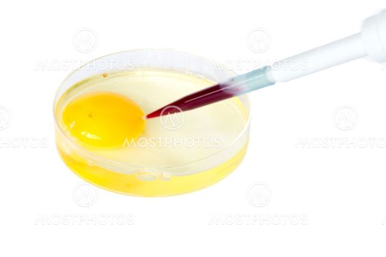 IVF