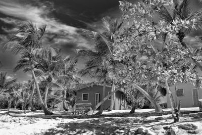 Small and Coloured Homes on the Coast of Santo Domingo
