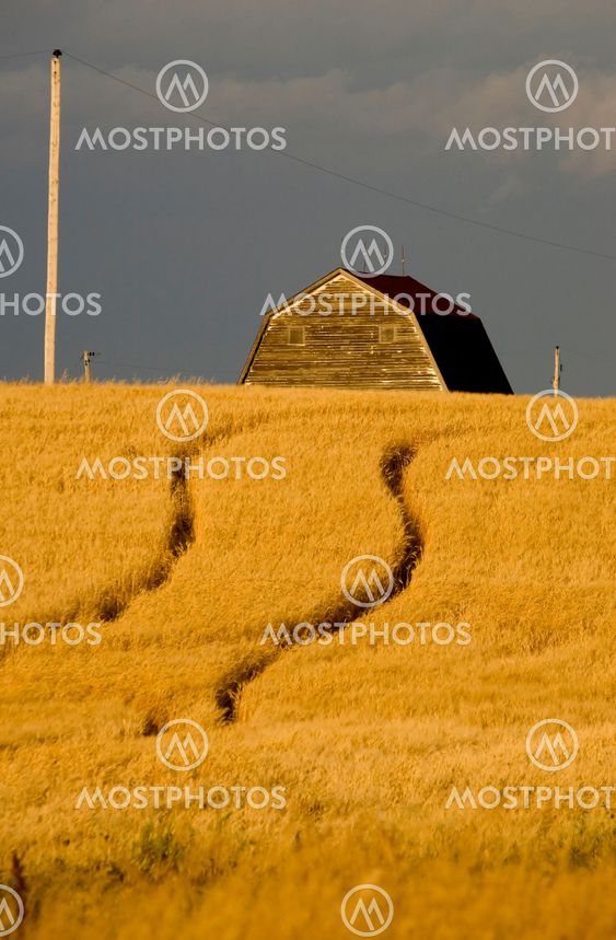 Rural Saskatchewan