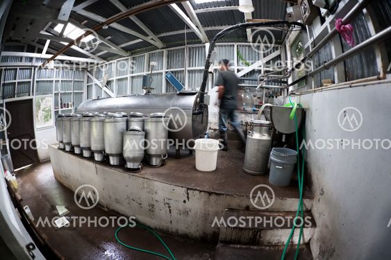 Rustic dairy operation in Costa Rica