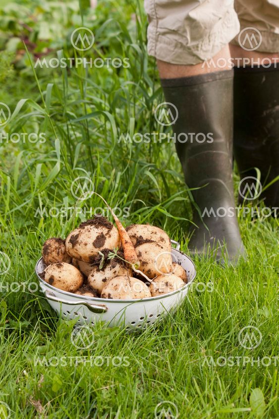 From potato country