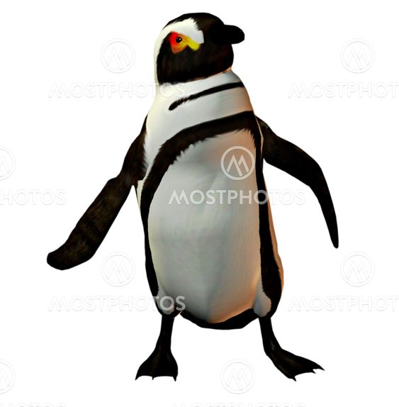 Penguin dancer