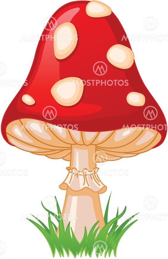Mushroom amanita