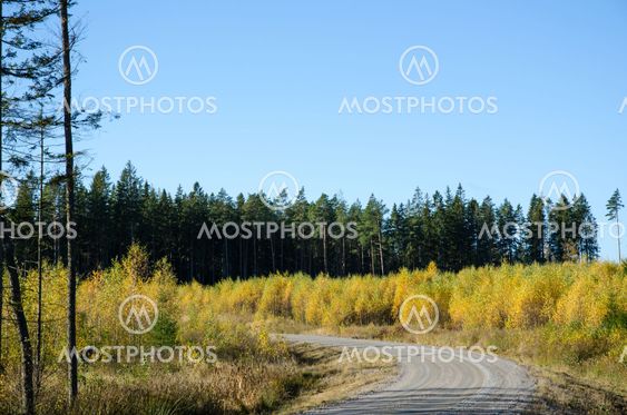 Colorful gravel road curve