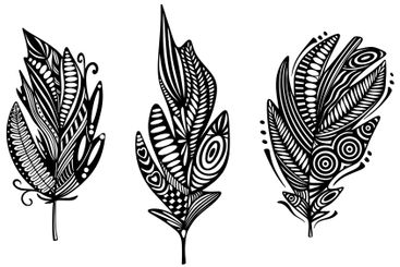 Set of feathers in boho style