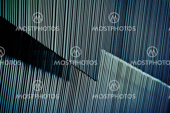 reeds