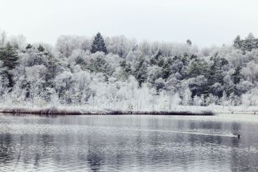 Winter season in scandinavia, landscape with frosen...