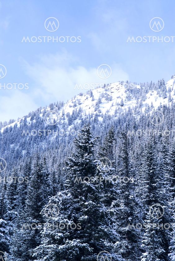 Winter mountain