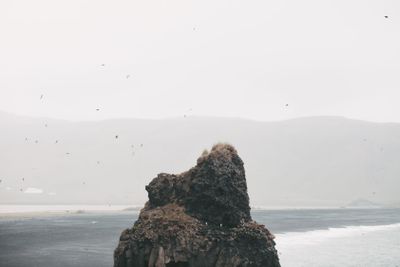 puffins on beautiful rock formation in water near...