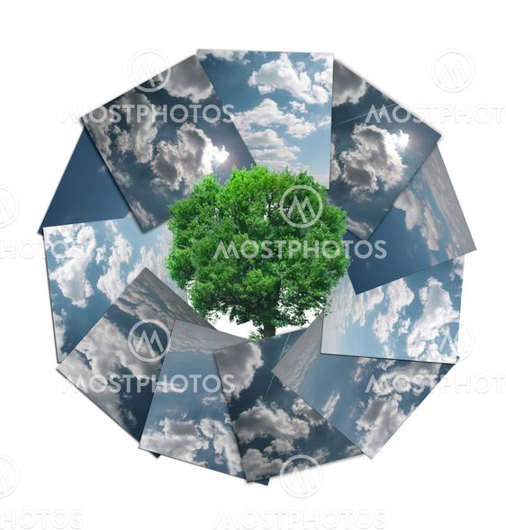 Cloudscape Surrounding Fertile Green Tree