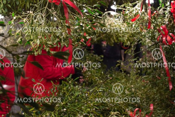 Mistletoe stand on Christmas market