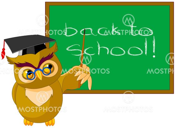 Wise Owl