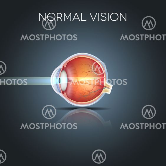 "Normal eye vision, detailed..." fra User_77505 Mostphotos
