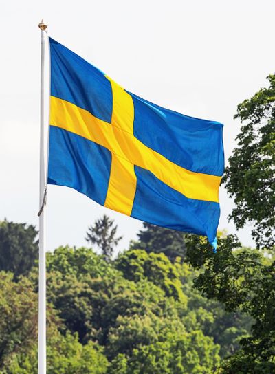 Swedish flag waving in forest
