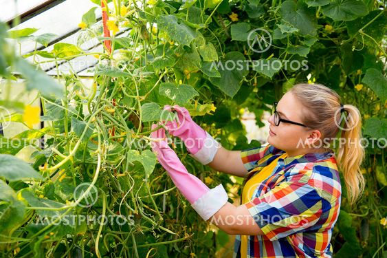 Girl working in a greenhouse