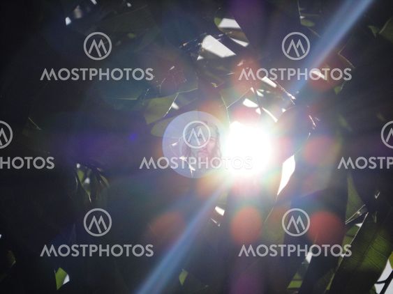 Light of God