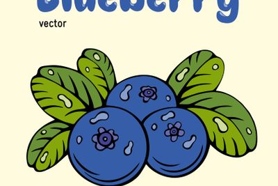 Blueberry vector illustration, berries images. Doodle...