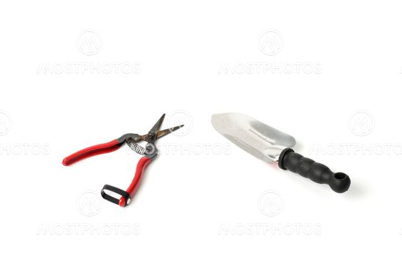 trowel and scissor for gardening