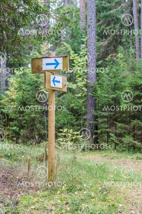Forest trail signpost with pointing arrows