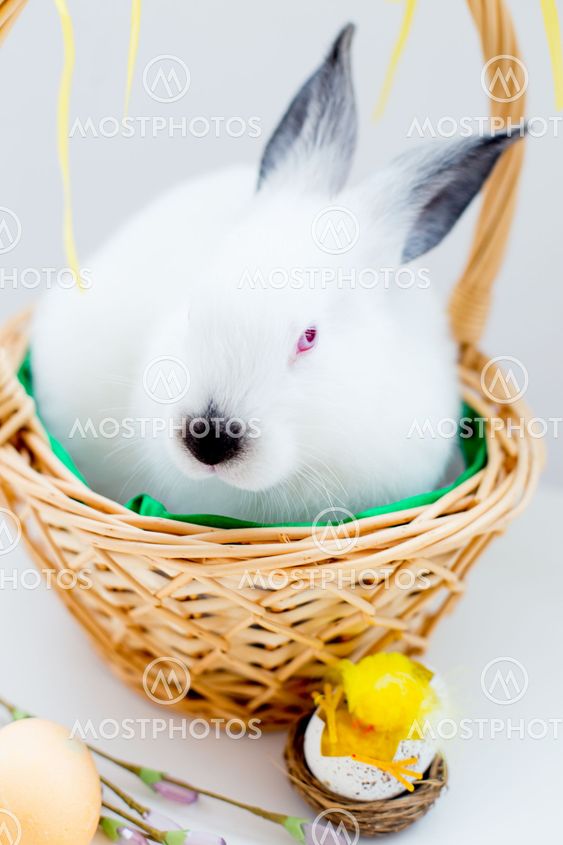 Set of easter things