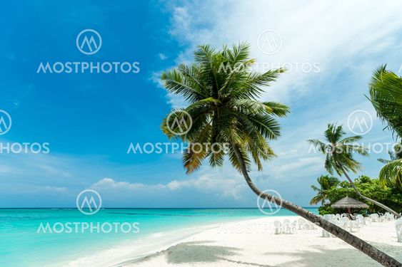 Perfect tropical island paradise beach