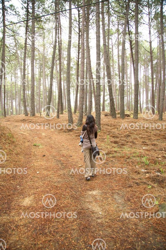 walking between great trees