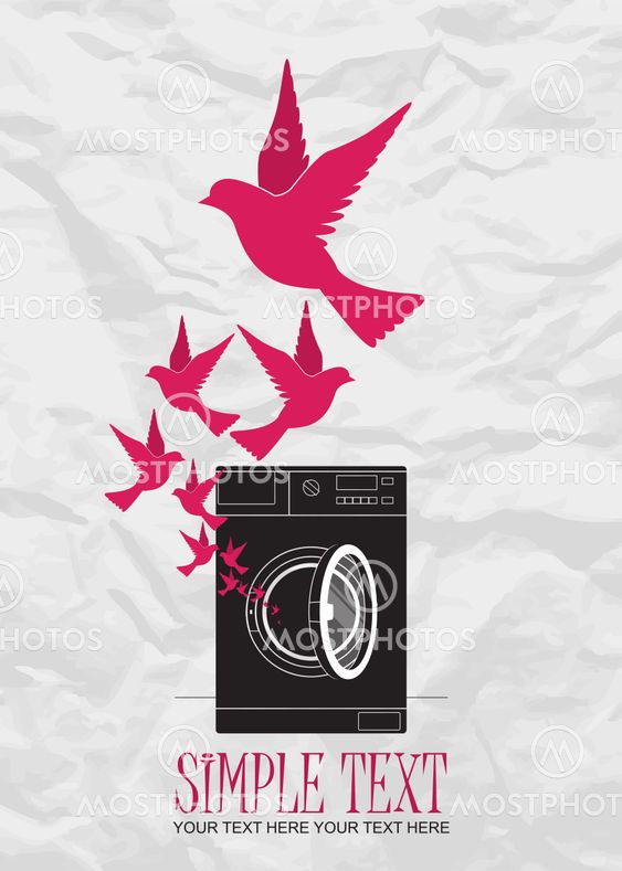 Abstract vector illustration of washing machine and birds.