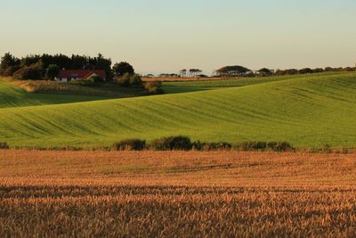 Rural summer landscape in Jylland, Denmark. Beautiful...