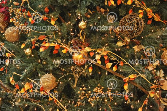 Orange christmas