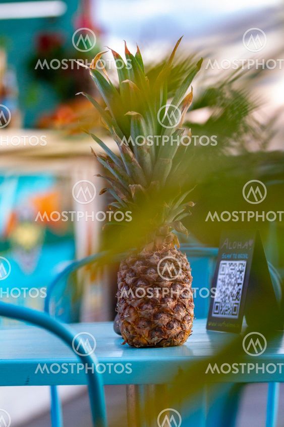 Tropical vibes and surf feeling in Apelviken Varberg...